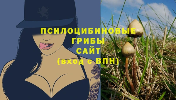молекула духа Новодвинск