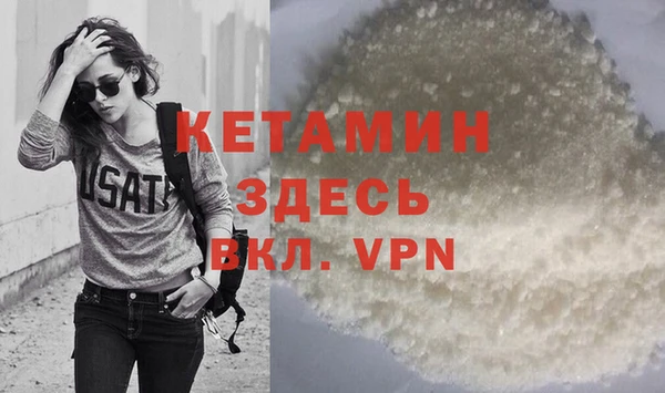 шишки Новозыбков