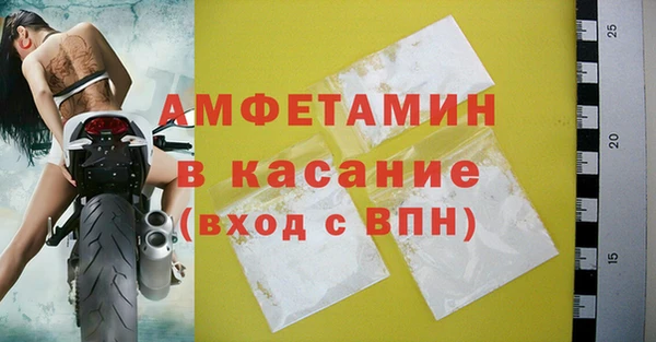 шишки Новозыбков