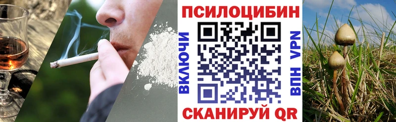 где найти   Белозерск  Галлюциногенные грибы мицелий 